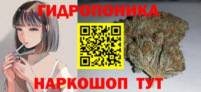 a pvp Абакан