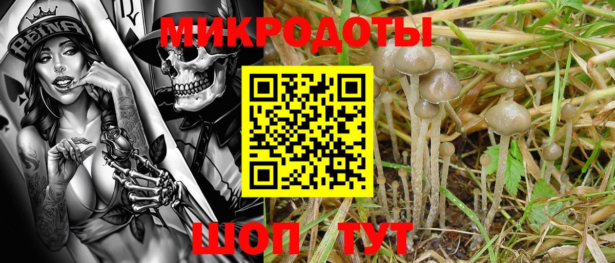 Галлюциногенные грибы Psilocybine cubensis  Вход с VPN  Гуково  Галлюциногенные грибы Psilocybine cubensis 