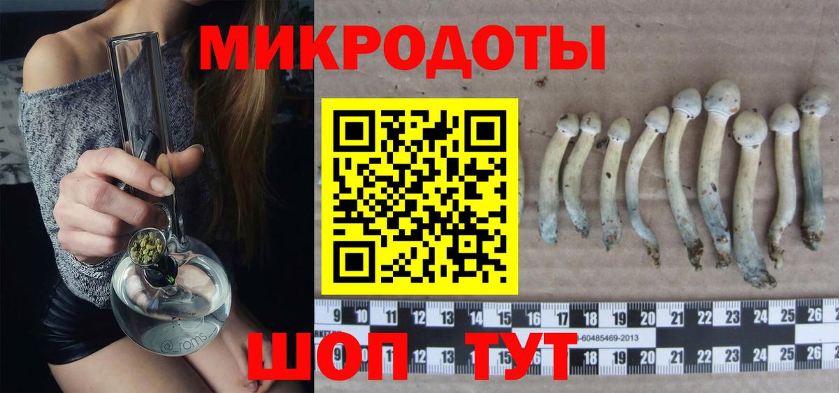 Псилоцибиновые грибы Magic Shrooms Гуково